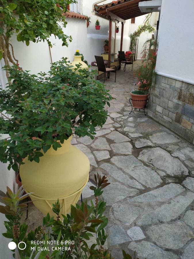 Nikolas Guest house